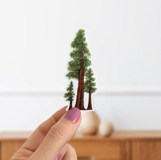 Redwood Trees Vinyl Sticker