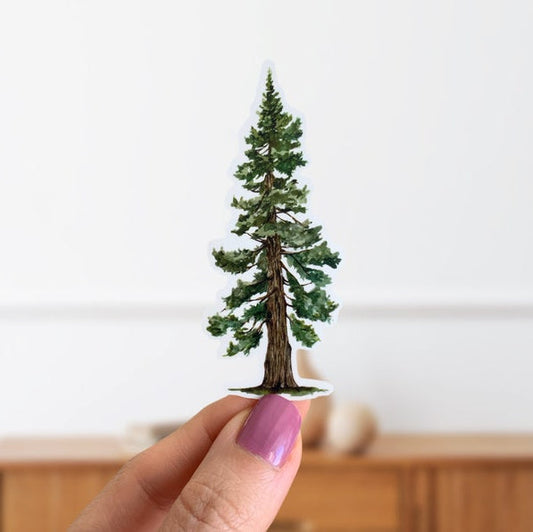 Pine Tree Sticker