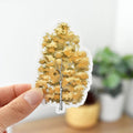 Birch tree Vinyl Sticker