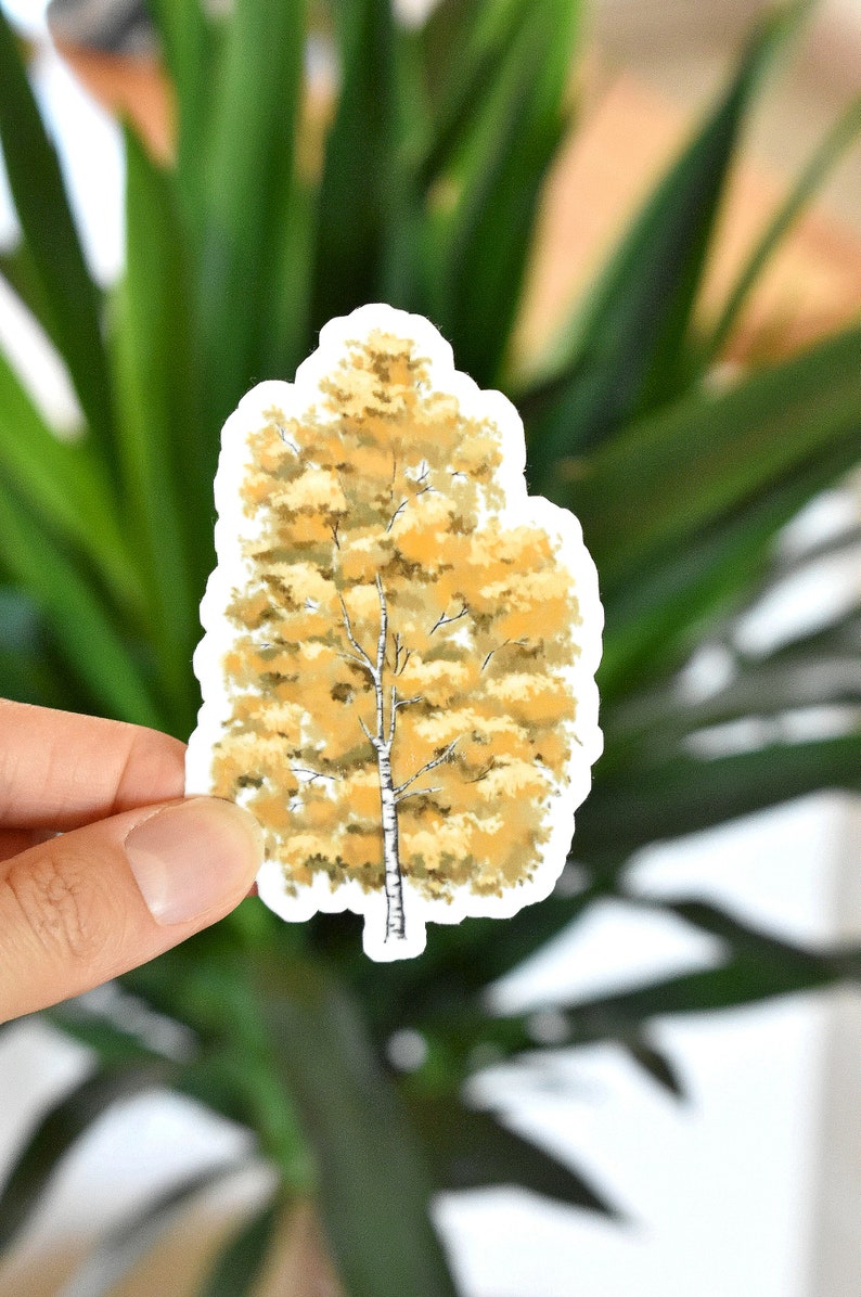 Birch tree Vinyl Sticker